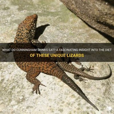 Skinks!  The Fascinating Lizards With Intricate Scales and a Unique Tongue-Flicking Language